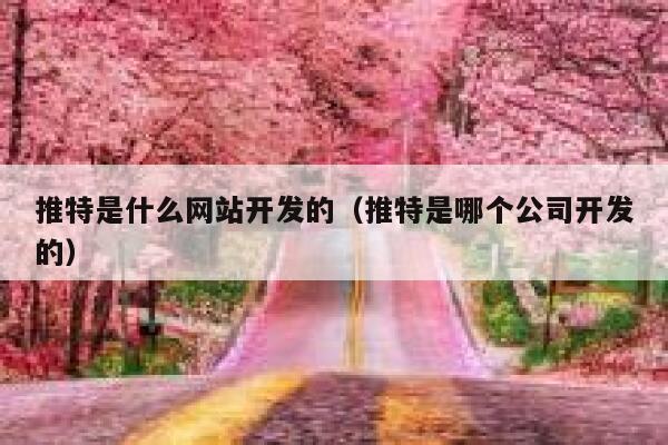 推特是什么网站开发的（推特是哪个公司开发的） 第1张