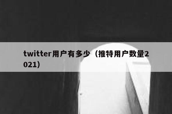 twitter用户有多少(推特用户数量2021) 第1张 twitter用户有多少(推特用户数量2021) 第1张