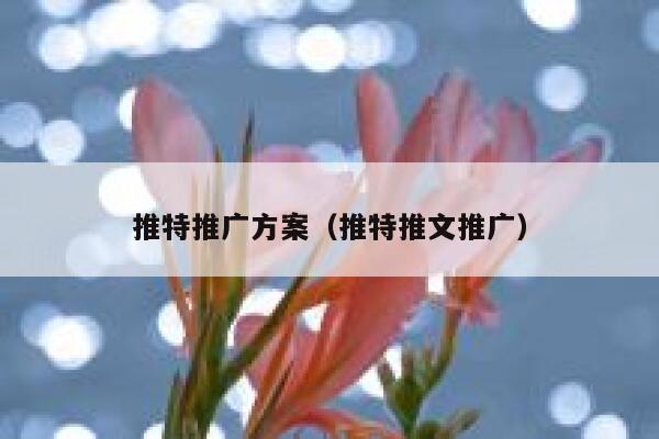 推特推广方案(推特推文推广) 第1张 推特推广方案(推特推文推广) 第1张