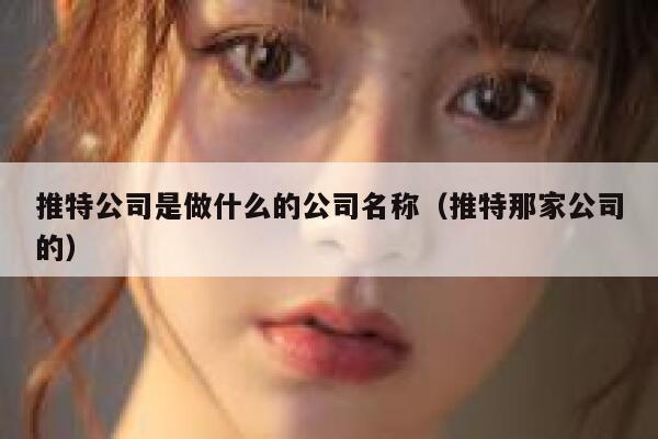 推特公司是做什么的公司名称(推特那家公司的) 第1张 推特公司是做什么的公司名称(推特那家公司的) 第1张