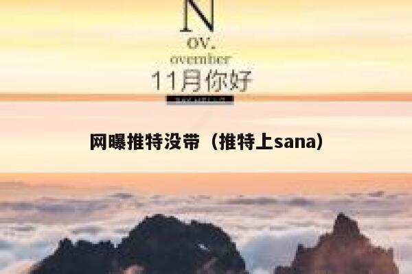 网曝推特没带(推特上sana) 第1张 网曝推特没带(推特上sana) 第1张