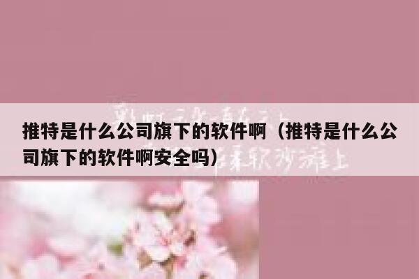 推特是什么公司旗下的软件啊（推特是什么公司旗下的软件啊安全吗） 第1张