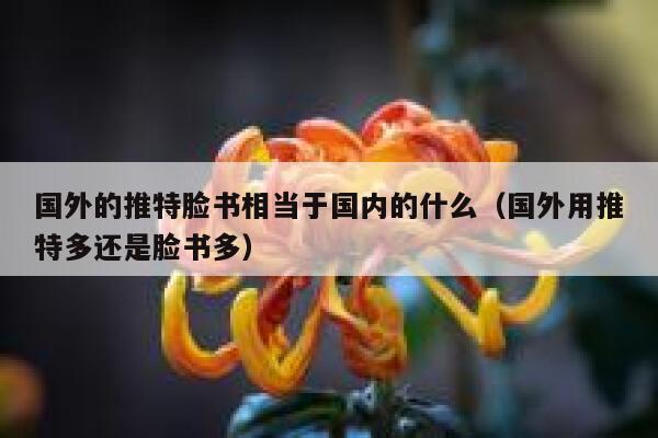 国外的推特脸书相当于国内的什么（国外用推特多还是脸书多） 第1张