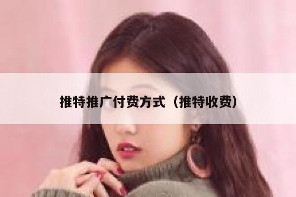 推特推广付费方式（推特收费） 第1张