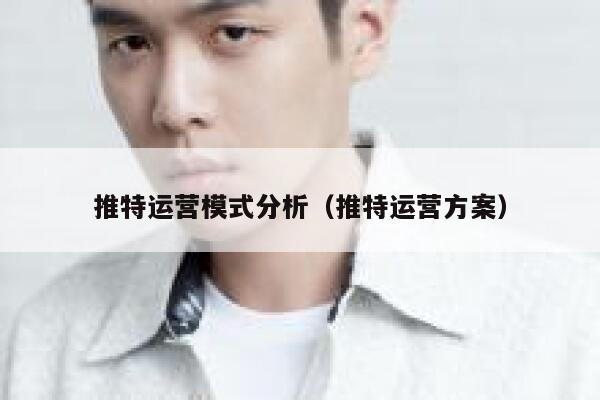 推特运营模式分析（推特运营方案） 第1张