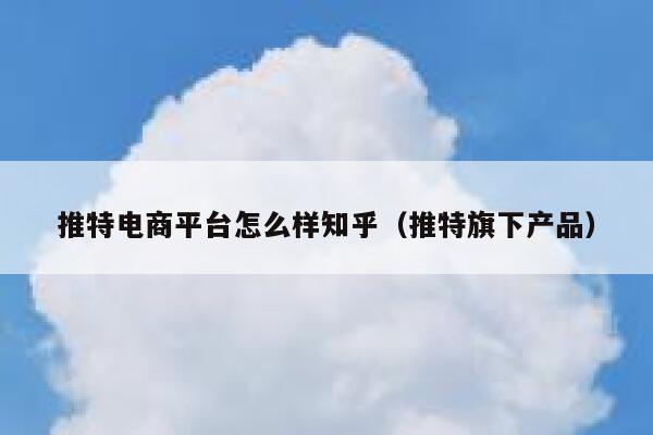 推特电商平台怎么样知乎（推特旗下产品） 第1张