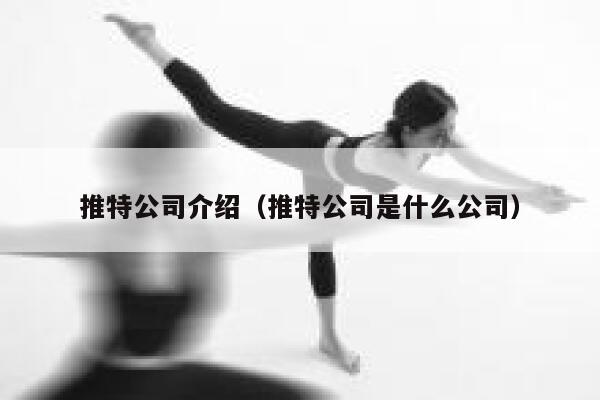 推特公司介绍（推特公司是什么公司） 第1张