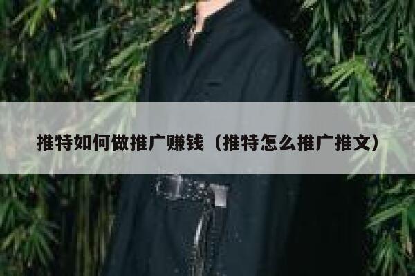 推特如何做推广赚钱（推特怎么推广推文） 第1张