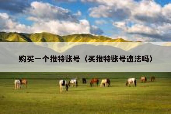 购买一个推特账号（买推特账号违法吗） 第1张