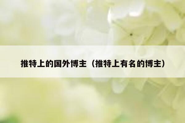 推特上的国外博主(推特上有名的博主) 第1张 推特上的国外博主(推特上有名的博主) 第1张