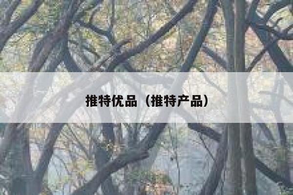 推特优品(推特产品) 第1张 推特优品(推特产品) 第1张