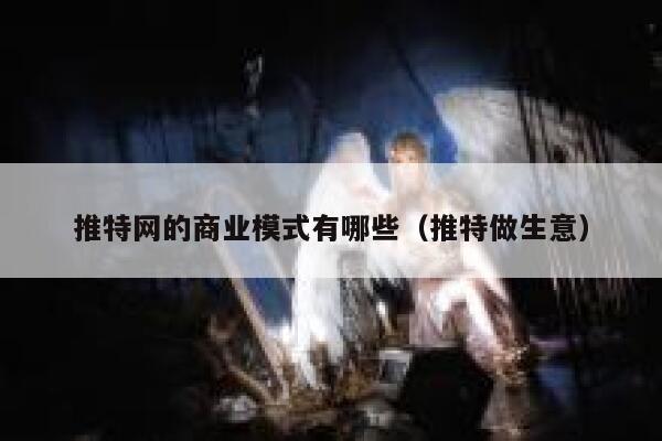 推特网的商业模式有哪些（推特做生意） 第1张