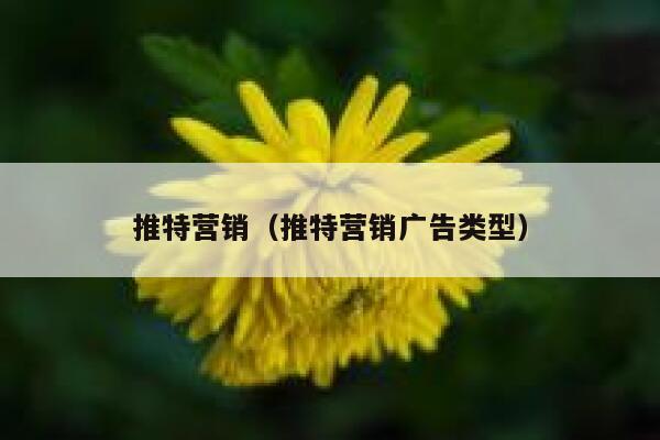 推特营销(推特营销广告类型) 第1张 推特营销(推特营销广告类型) 第1张