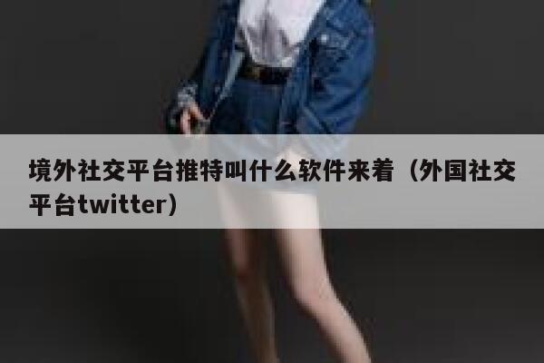 境外社交平台推特叫什么软件来着（外国社交平台twitter） 第1张