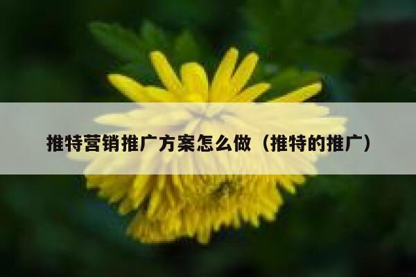 推特营销推广方案怎么做（推特的推广） 第1张