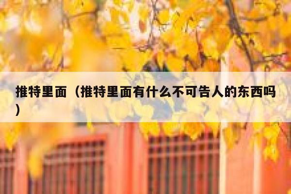 推特里面（推特里面有什么不可告人的东西吗） 第1张