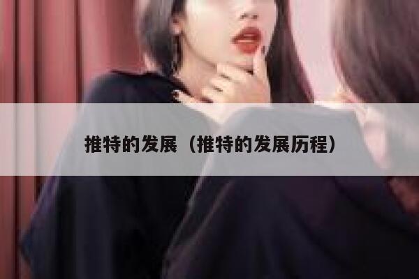 推特的发展（推特的发展历程） 第1张