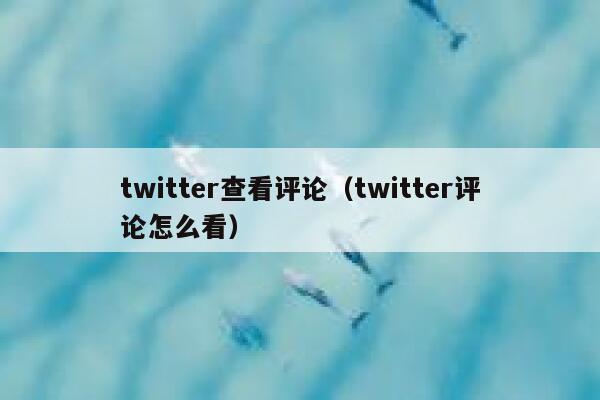 twitter查看评论（twitter评论怎么看） 第1张