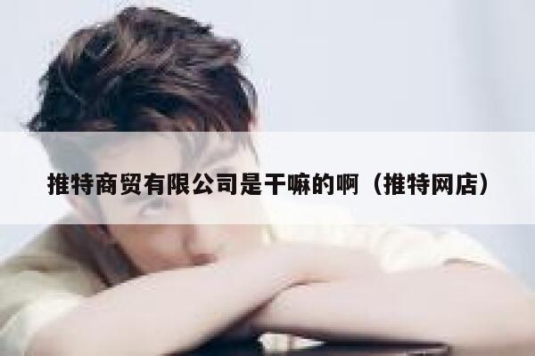 推特商贸有限公司是干嘛的啊（推特网店） 第1张