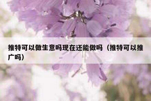 推特可以做生意吗现在还能做吗(推特可以推广吗) 第1张 推特可以做生意吗现在还能做吗(推特可以推广吗) 第1张