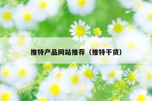 推特产品网站推荐(推特干货) 第1张 推特产品网站推荐(推特干货) 第1张