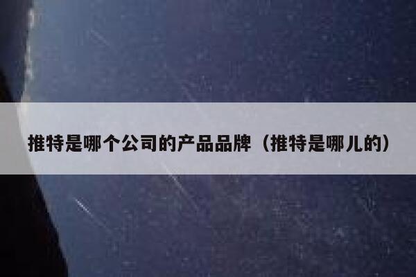推特是哪个公司的产品品牌(推特是哪儿的) 第1张 推特是哪个公司的产品品牌(推特是哪儿的) 第1张