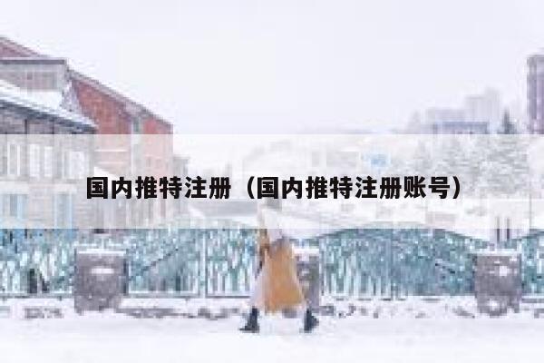 国内推特注册（国内推特注册账号） 第1张