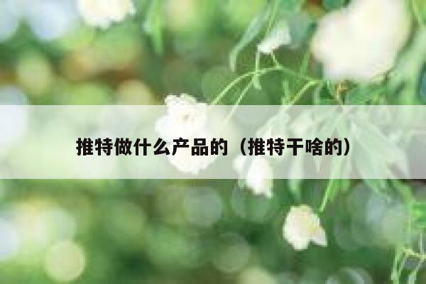 推特做什么产品的(推特干啥的) 第1张 推特做什么产品的(推特干啥的) 第1张