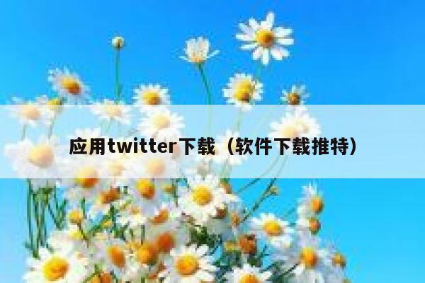 应用twitter下载（软件下载推特） 第1张