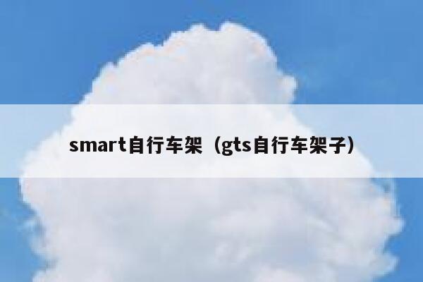 smart自行车架(gts自行车架子) 第1张 smart自行车架(gts自行车架子) 第1张