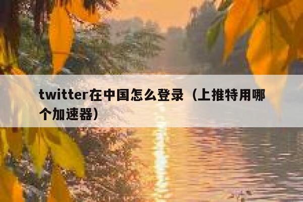 twitter在中国怎么登录(上推特用哪个加速器) 第1张 twitter在中国怎么登录(上推特用哪个加速器) 第1张