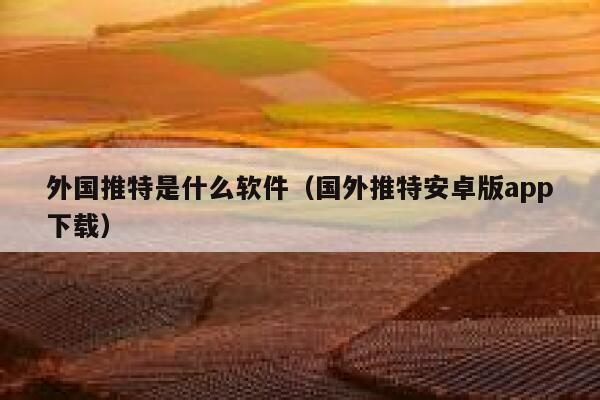 外国推特是什么软件（国外推特安卓版app下载） 第1张
