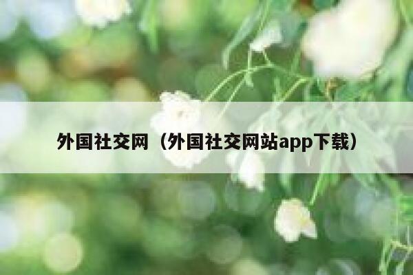 外国社交网（外国社交网站app下载） 第1张