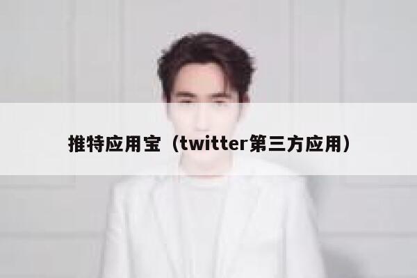 推特应用宝（twitter第三方应用） 第1张