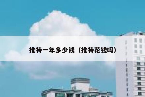 推特一年多少钱(推特花钱吗) 第1张 推特一年多少钱(推特花钱吗) 第1张