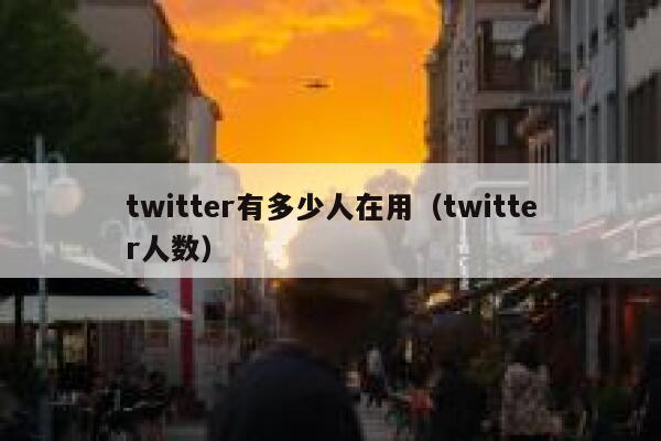 twitter有多少人在用(twitter人数) 第1张 twitter有多少人在用(twitter人数) 第1张