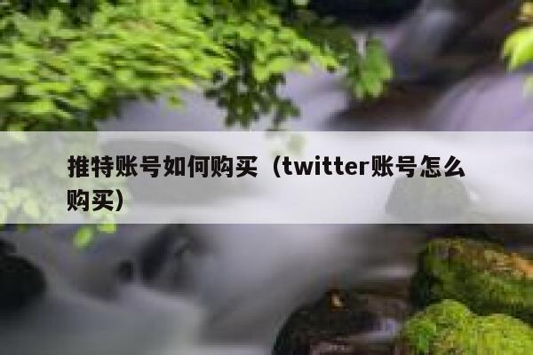 推特账号如何购买（twitter账号怎么购买） 第1张