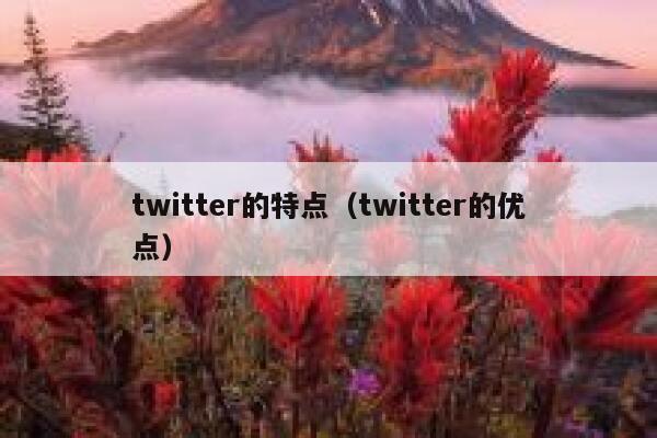 twitter的特点（twitter的优点） 第1张