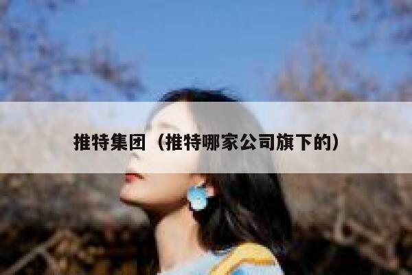 推特集团（推特哪家公司旗下的） 第1张