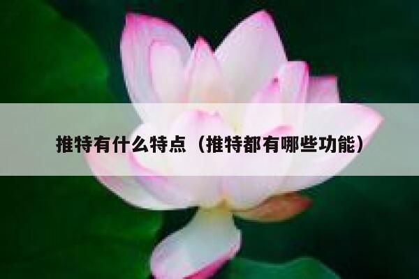 推特有什么特点（推特都有哪些功能） 第1张
