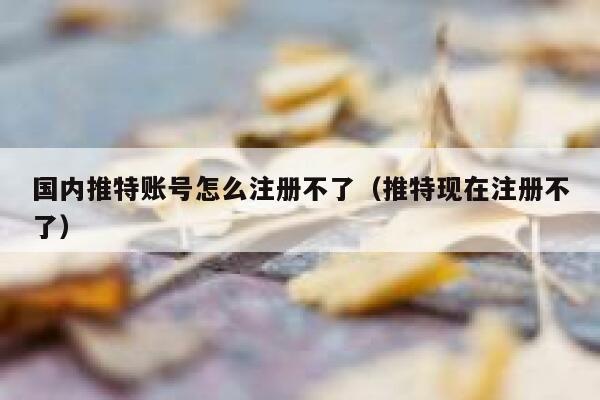 国内推特账号怎么注册不了（推特现在注册不了） 第1张