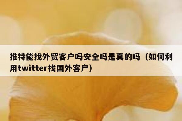 推特能找外贸客户吗安全吗是真的吗（如何利用twitter找国外客户） 第1张
