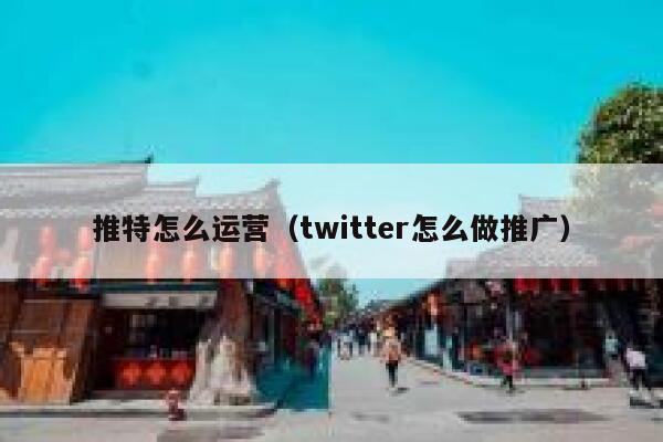 推特怎么运营（twitter怎么做推广） 第1张