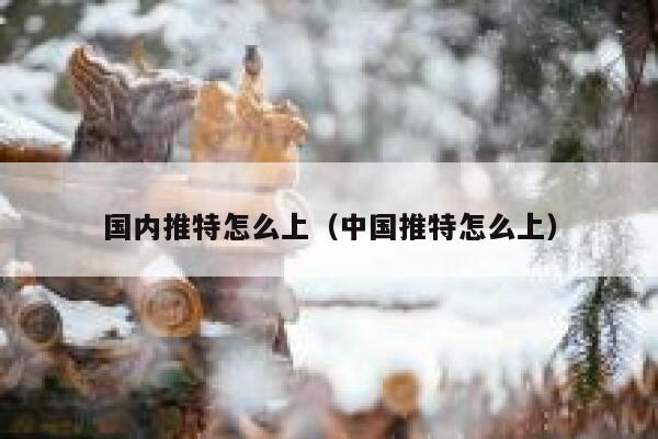国内推特怎么上（中国推特怎么上） 第1张