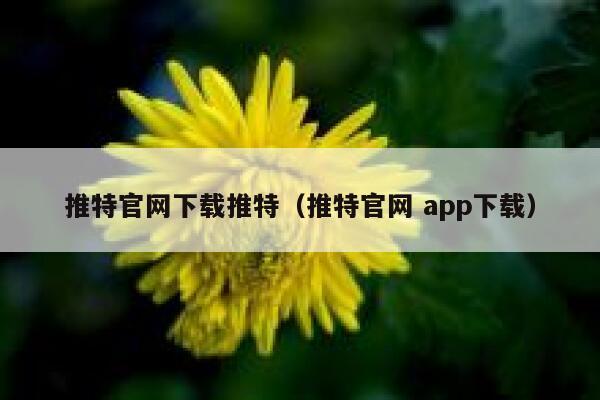推特官网下载推特（推特官网 app下载） 第1张