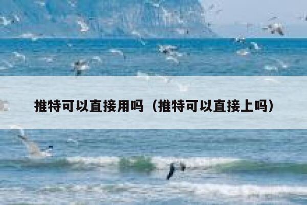 推特可以直接用吗（推特可以直接上吗） 第1张