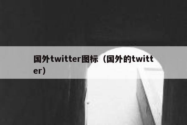 国外twitter图标（国外的twitter） 第1张