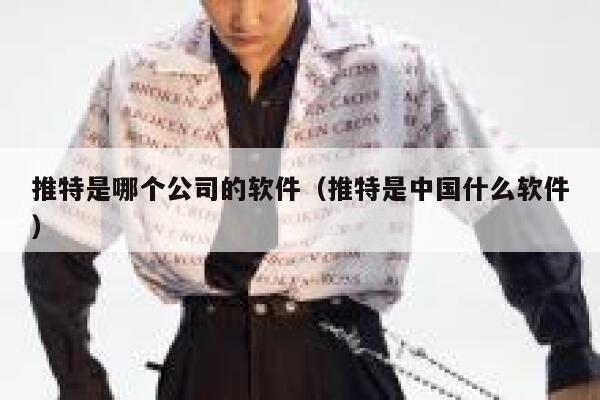 推特是哪个公司的软件（推特是中国什么软件） 第1张
