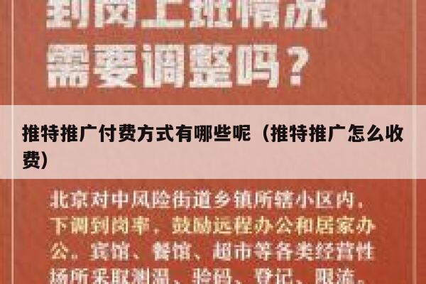 推特推广付费方式有哪些呢（推特推广怎么收费） 第1张