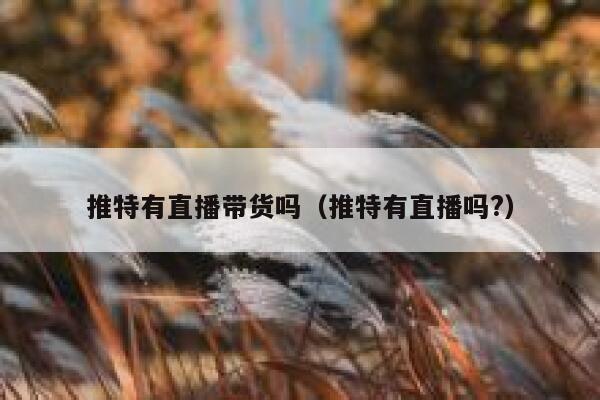推特有直播带货吗（推特有直播吗?） 第1张